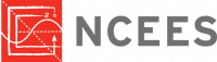 ncees11